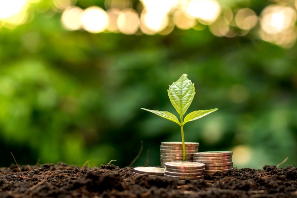 Prise en charge des cotisations sociales par la MSA : assouplissement de la procédure